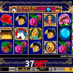 37BET Brasília - Casino Guide